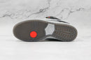 Nike SB Dunk Low Camcorder