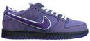 Concepts x Nike SB Dunk Low Purple Lobster