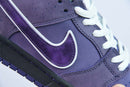 Concepts x Nike SB Dunk Low Purple Lobster