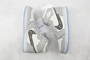 Dior x Air Jordan 1 High