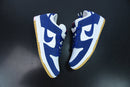 Nike SB Dunk Low LA Dodgers