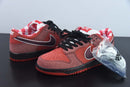 Concepts x Nike SB Dunk Low Red Lobster