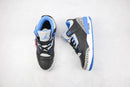 Air Jordan 3 Sport Blue