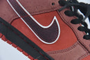Concepts x Nike SB Dunk Low Red Lobster