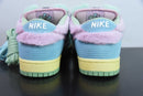 Verdy x Nike SB Dunk Low Visty
