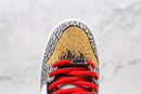 Nike SB Dunk Low What The Paul P-Rod