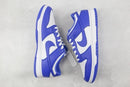 Nike SB Dunk Low SP Kentucky