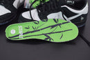 Nike SB Dunk Staple Panda Pigeon