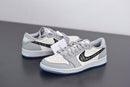 Dior x Air Jordan 1 Low