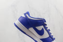 Nike SB Dunk Low SP Kentucky