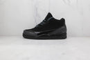 Air Jordan 3 Black Cat