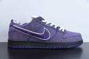 Concepts x Nike SB Dunk Low Purple Lobster