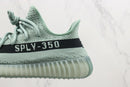 Adidas Yeezy Boost 350 V2 Salt