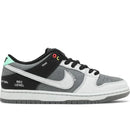 Nike SB Dunk Low Camcorder